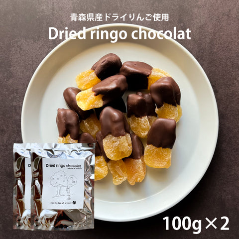 ドライりんご ショコラ2袋セット 100g×2袋 青森県産りんご使用