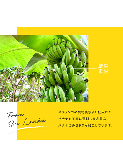 ドライバナナ 300g