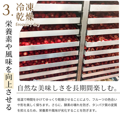 【いまだけ5％OFF！ 5/10 23:59まで】フリーズドライフルーツギフト フルセレ ストロベリーナイト 母の日 ギフト