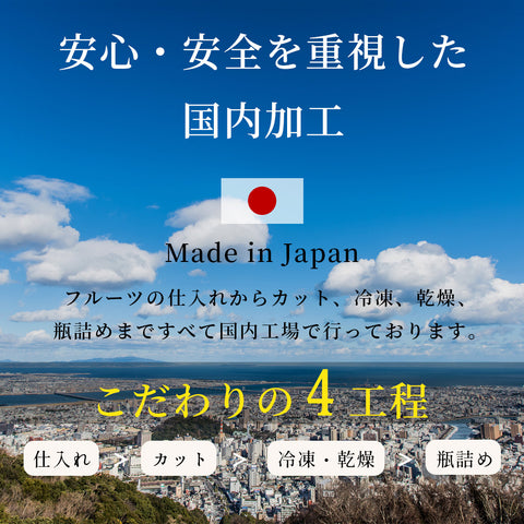【いまだけ5％OFF！ 5/10 23:59まで】フリーズドライフルーツギフト フルセレ フィグイエロー  母の日 ギフト