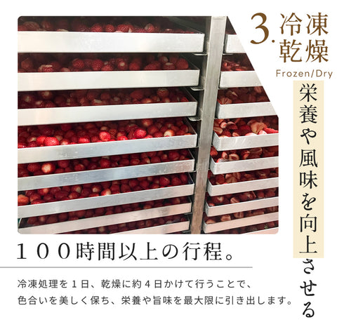 【いまだけ5％OFF！ 4/27 23:59まで】フリーズドライフルーツギフト フルセレ 3本セット 母の日 ギフト