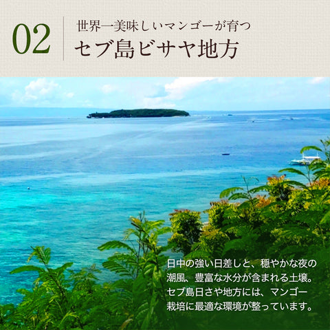 7D ドライマンゴー チョコ 80g×2袋