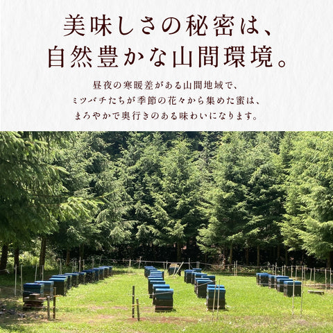 国産 はちみつ 純粋 無添加 百花蜜 花束はちみつ 130g 蜂蜜 パウチ 山間採蜜 国産100％