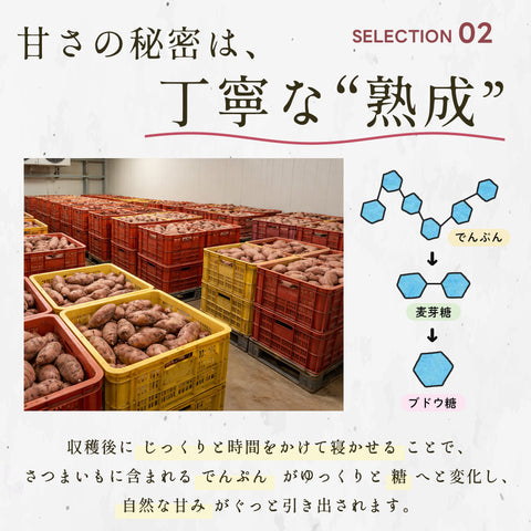おいもチップス 50g 徳島県産 なると金時使用