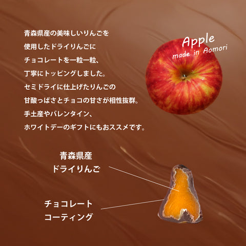 ドライりんご ショコラ2袋セット 100g×2袋 青森県産りんご使用